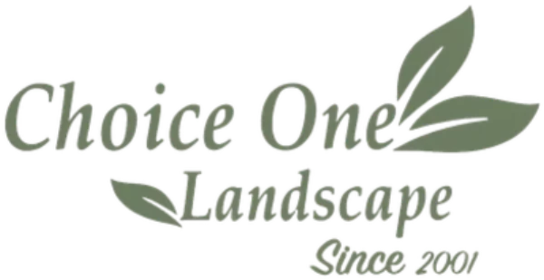 Choice One Landscape